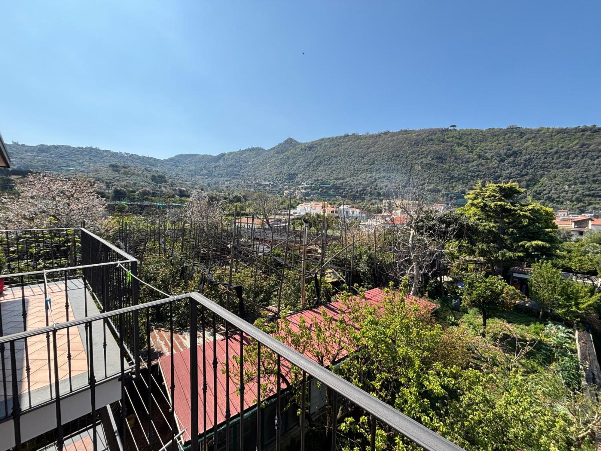 Intero Appartamento A Sant'Agnello , Le Ortensie エクステリア 写真